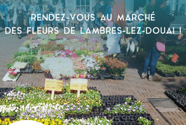 marché aux fleurs lambres lez douai