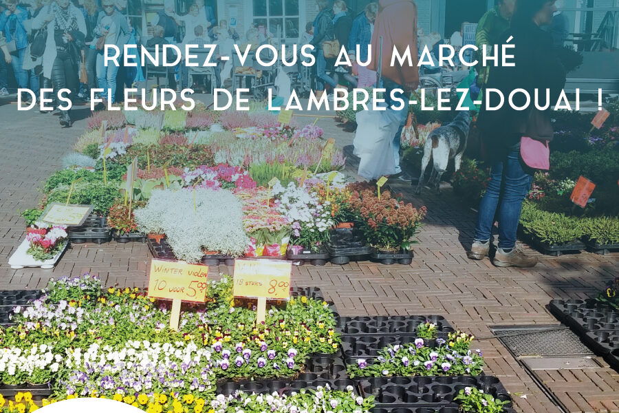 marché aux fleurs lambres lez douai